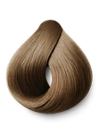 1 Hair Dye Shampoo